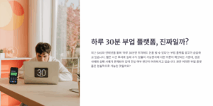 하루 30분 투자로 가능한 부업 플랫폼, 진짜일까?