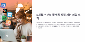 부업 플랫폼 6개월 써보고 느낀 진짜 후기