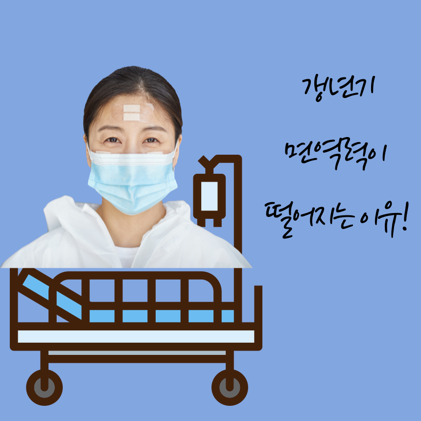 환절기 면역력 강화를 위한 홍삼 영양제와 건강한 생활 이미지