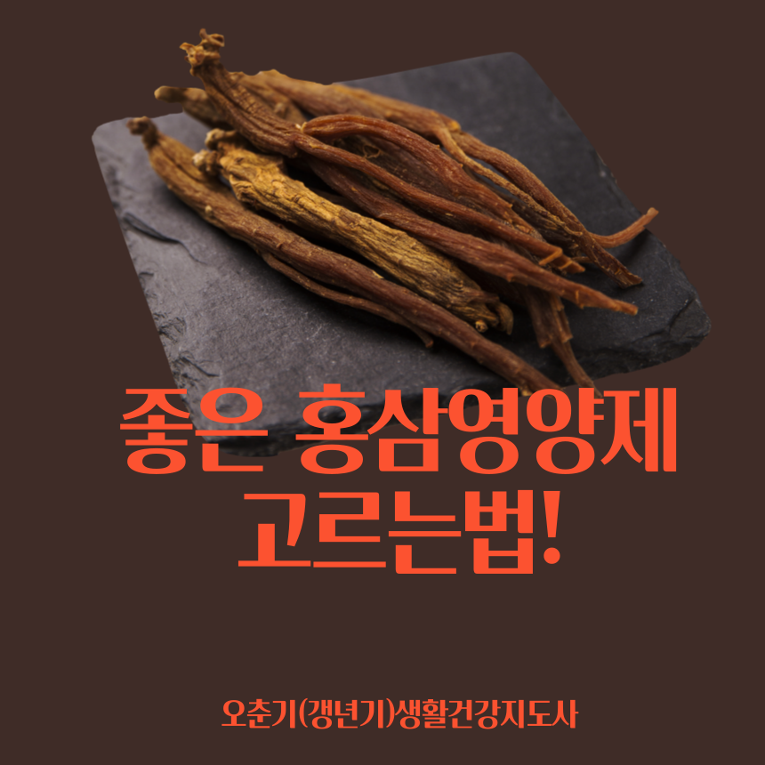 다양한 홍삼 제품들을 비교하고 현명하게 선택하는 가이드 이미지